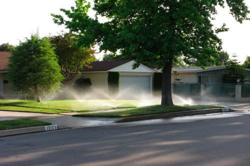 watering restrictions